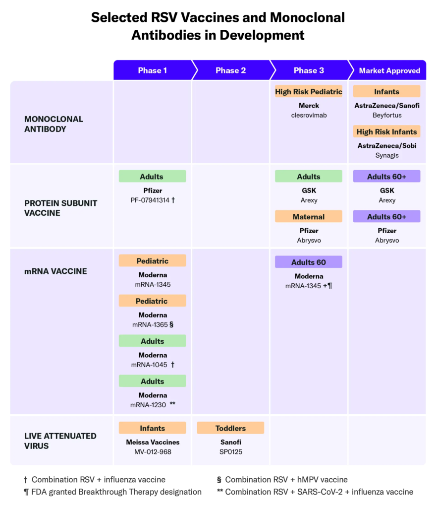 RSV prevention pipeline